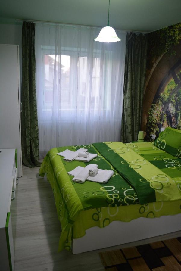 Green apartment Hunedoara Buitenkant foto