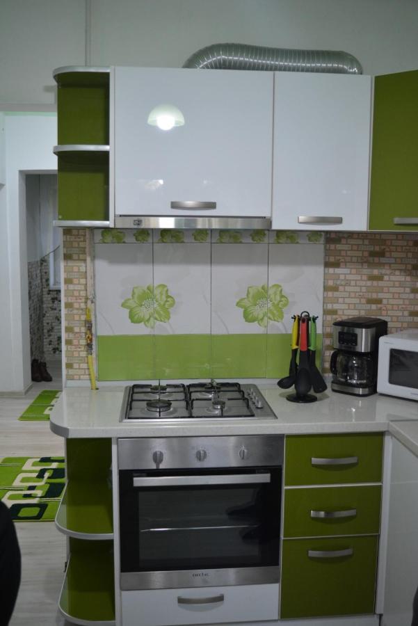 Green apartment Hunedoara Buitenkant foto